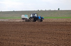 Обработка почвы перед посадкой капусты