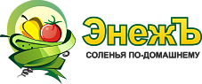 логотип ЭнежЪ2